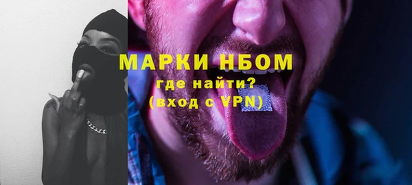 спайс Кулебаки
