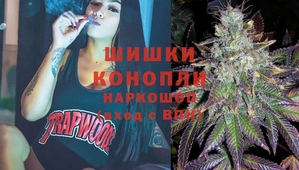 спайс Кулебаки