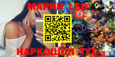 шишки Дубна