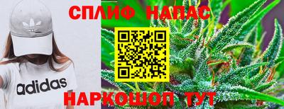 индика Донской