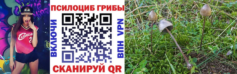 гидра как зайти  Керчь  Галлюциногенные грибы мицелий 