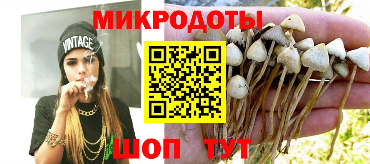 Галлюциногенные грибы мухоморы Керчь